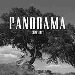 Panorama 2020 Chapter Y sw